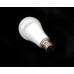 AMASCO LED Bulb 15W