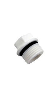 PPR White Plug 1"