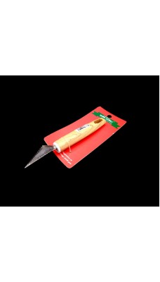 Carving Knife