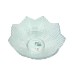 Blinkmax Glass Bowl