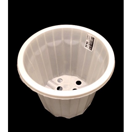 White Flower Pot