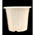 White Flower Pot
