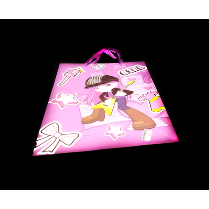 Paper Gift Bag Large
