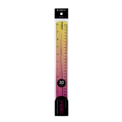 Ruler 30cm 9102-WM