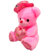 Teddy Bear Stuff Toy #ST032